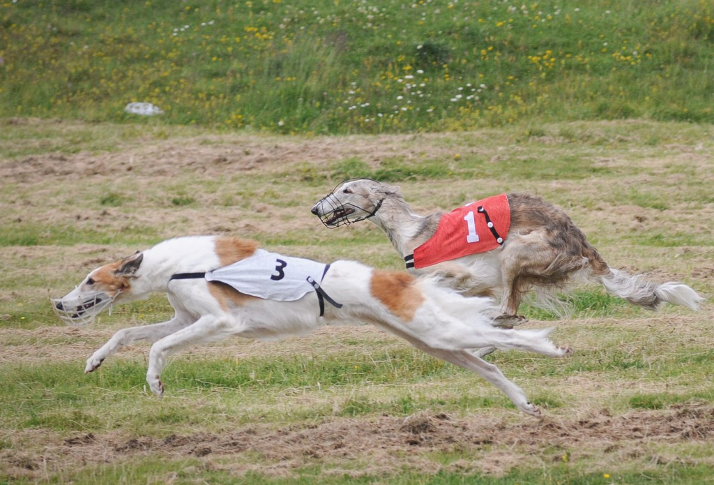 Dworjanin Mriya (unter ROT), Isabel Schickli, Platz 9