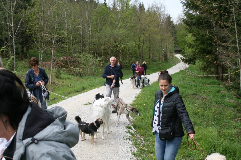 B 3 Wanderung