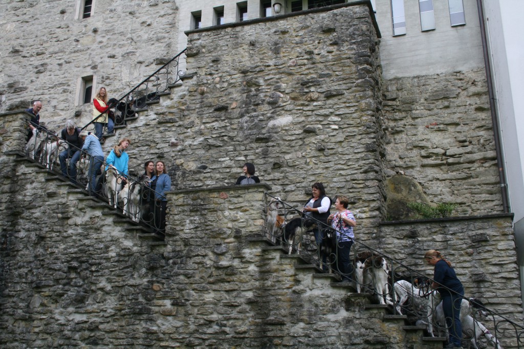 C 5 Kloster Wikon Treppe vovo