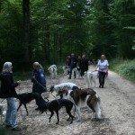 A C Herbstwanderung SBC 06 09 15 003