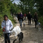 A C Herbstwanderung SBC 06 09 15 004