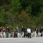 A D g Herbstwanderung SBC 06 09 15 043 ALLE