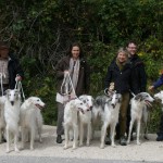 A D sokolow Herbstwanderung SBC 06 09 15 005