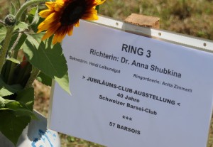 a-ring-3-1