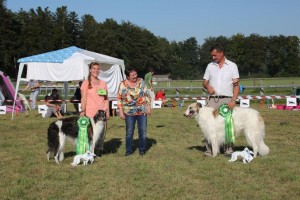 a-links-clubsiegerin-kuskaya-s-ganescha-heidy-neiger-rechts-clubsieger-angus-stefan-mueller-magdalena-linder